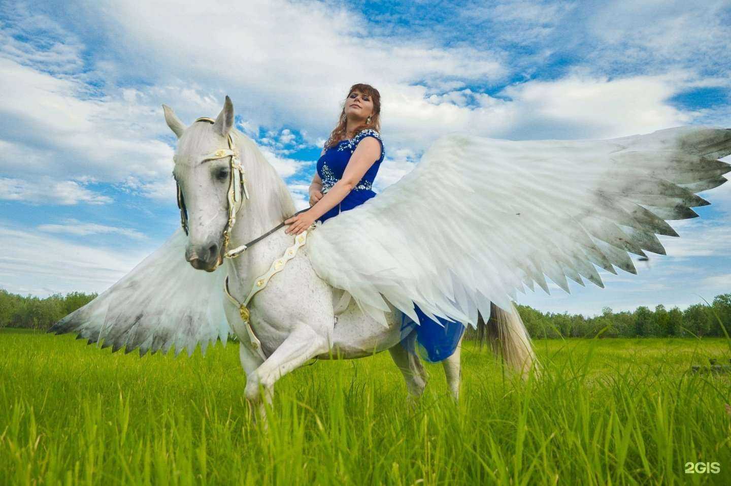 Отзывы на компанию Легенда в Нижневартовске c фото