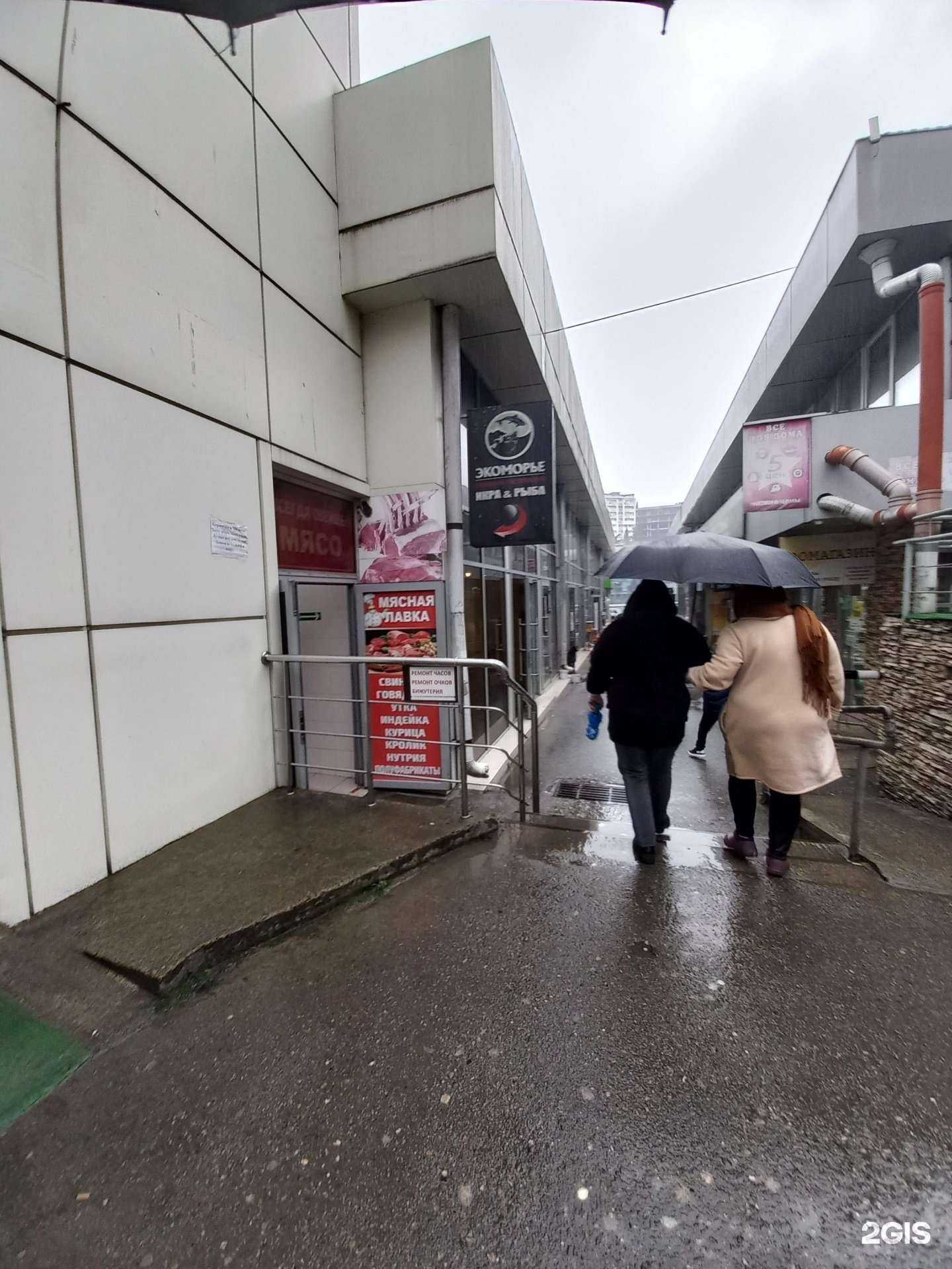 Отзывы на компанию Икорный в Сочи c фото