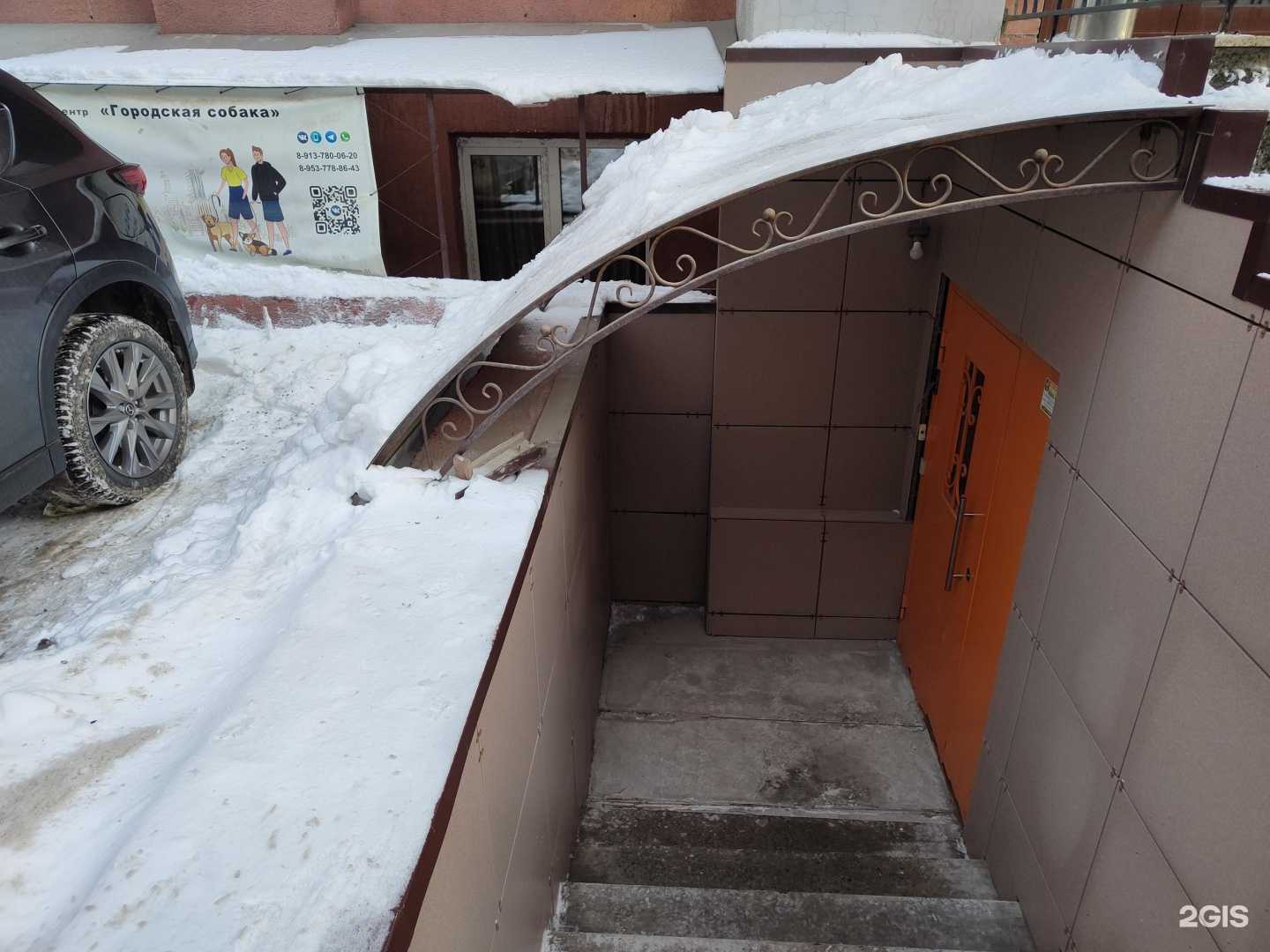 Отзывы на компанию Учебный кинологический центр в г. Новосибирск c фото