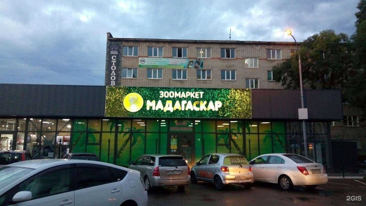 Отзывы на компанию Мадагаскар в Уссурийске c фото