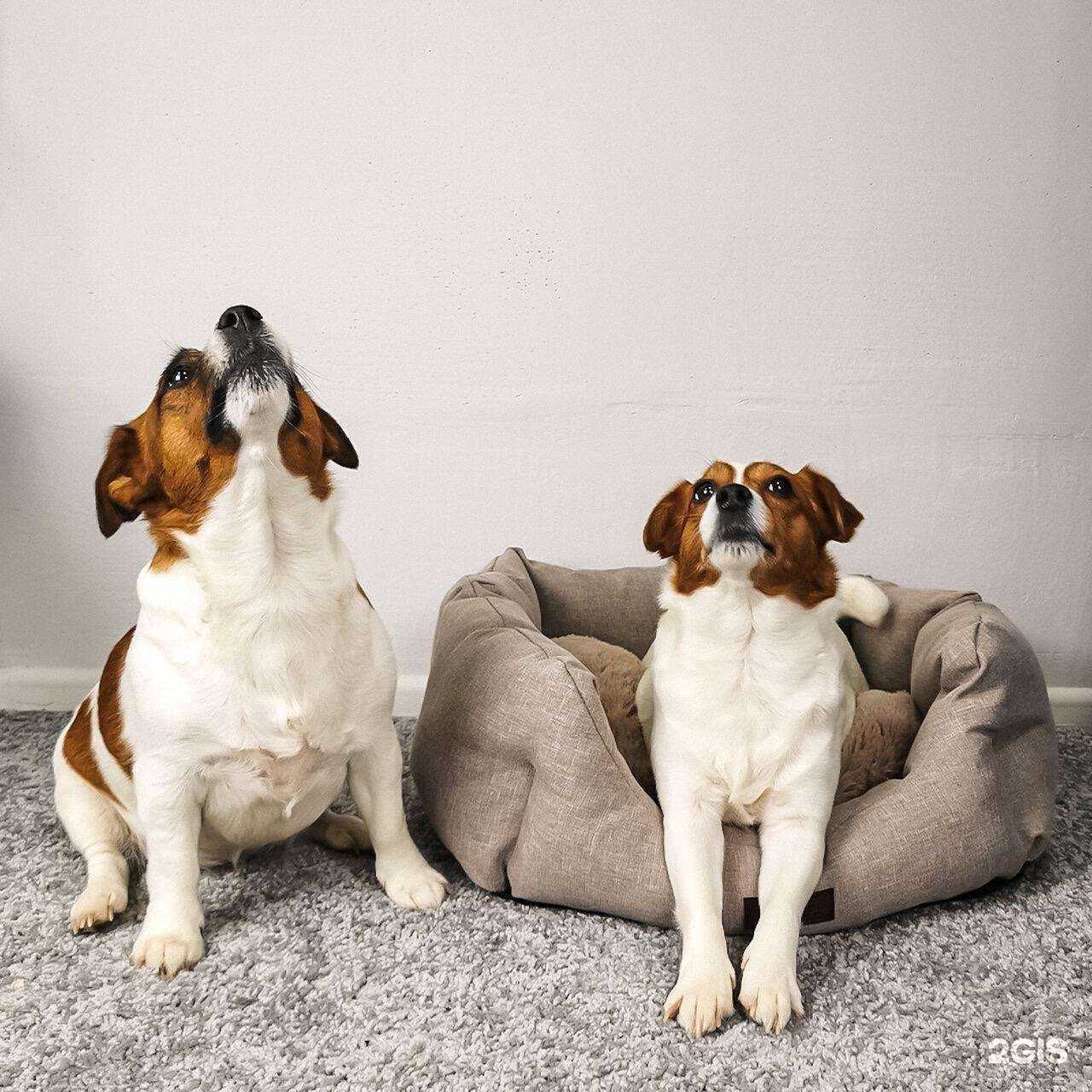 Отзывы на компанию Рыжий хвост в Старой Купавне c фото