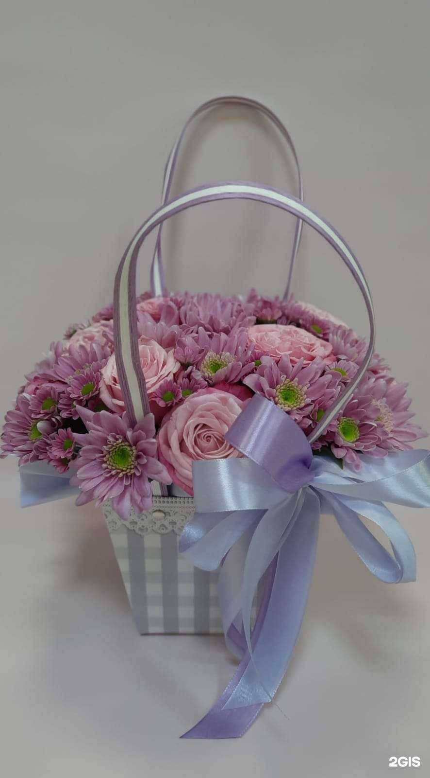 Отзывы на компанию Каталея в Ставрополе c фото