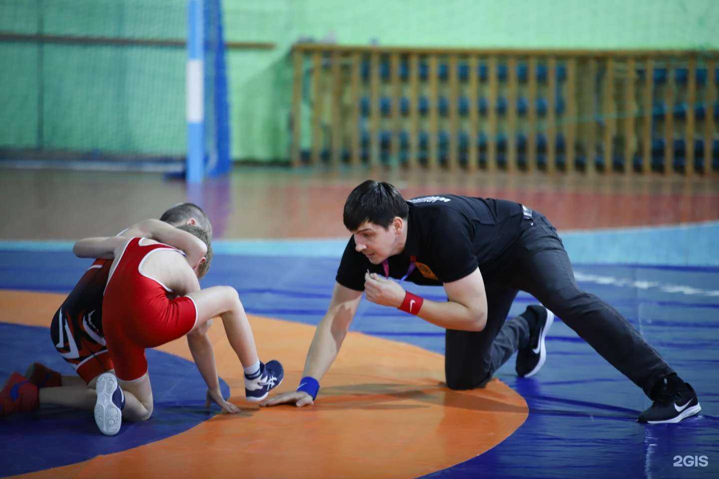 Отзывы на компанию Тигр в г. Бор c фото