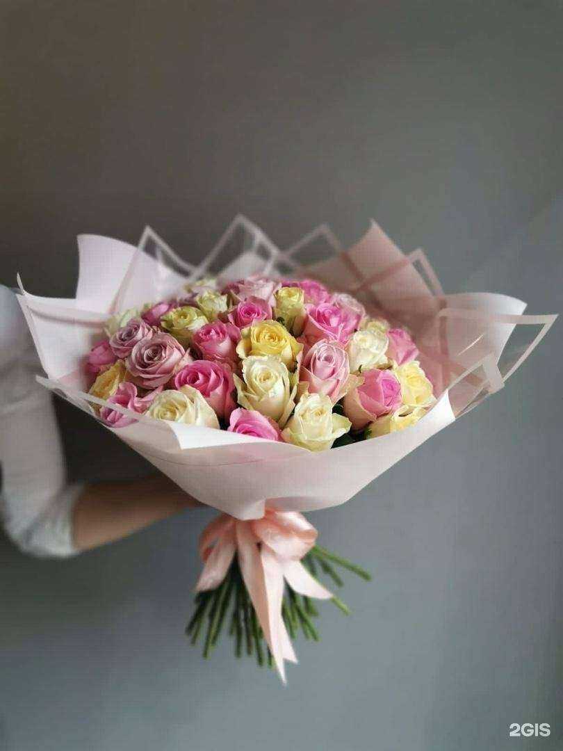 Отзывы на компанию Амстердам в Рязани c фото