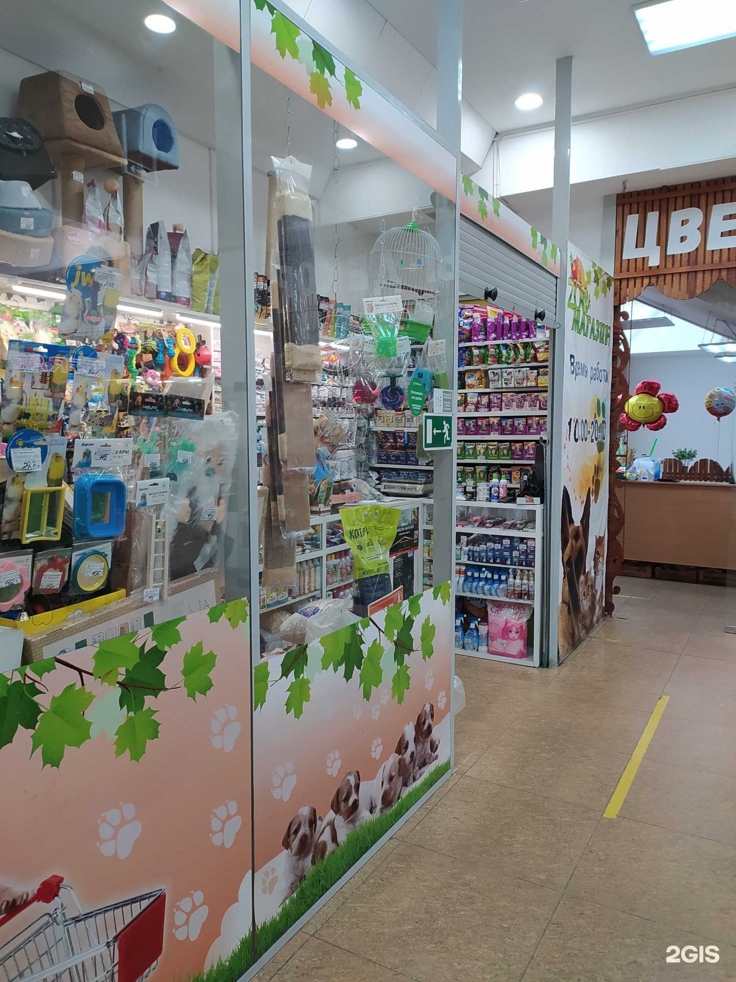 Отзывы на компанию Магазин зоотоваров в Омске c фото