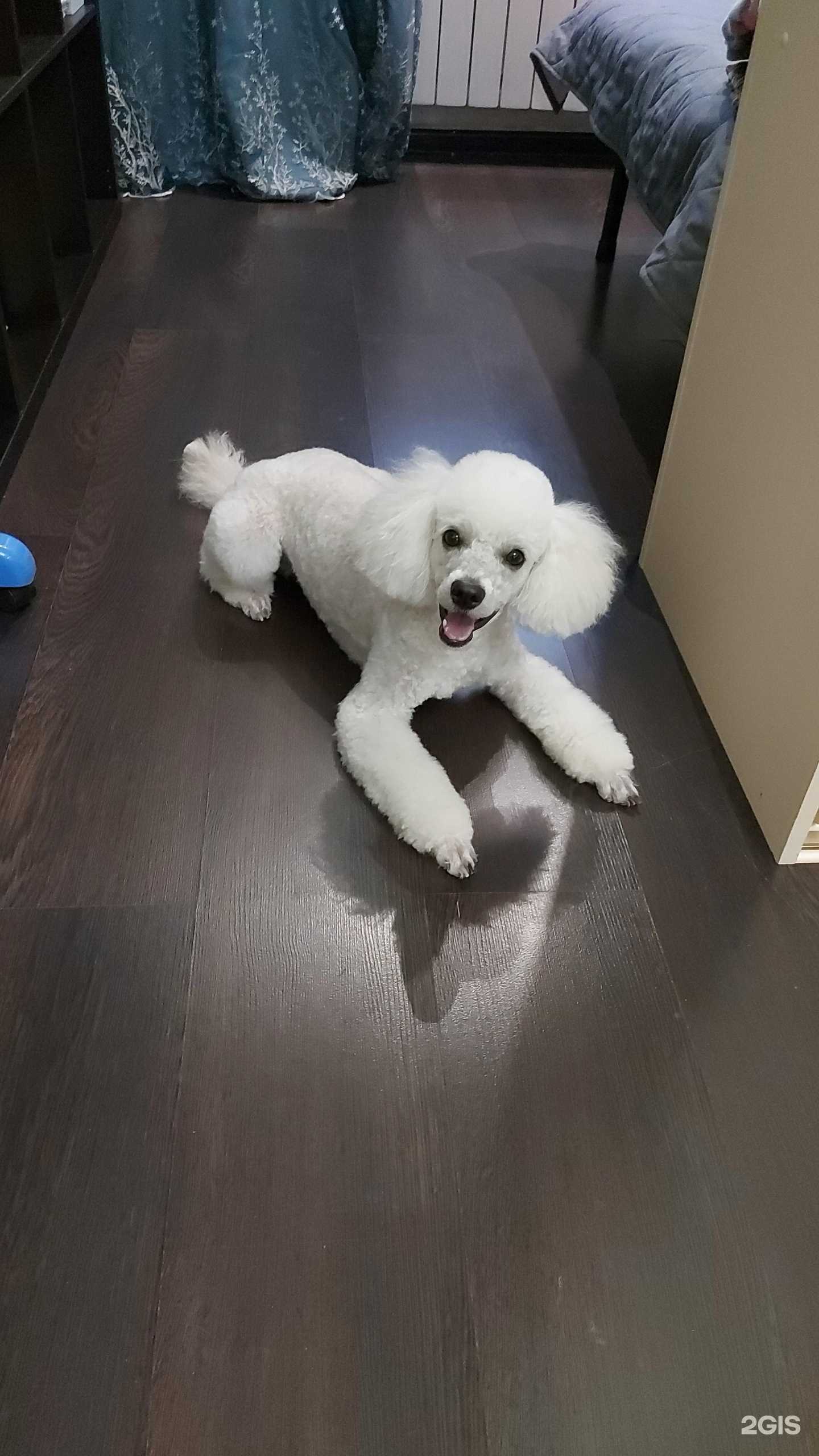 Отзывы на компанию Понго в г. Якутск c фото