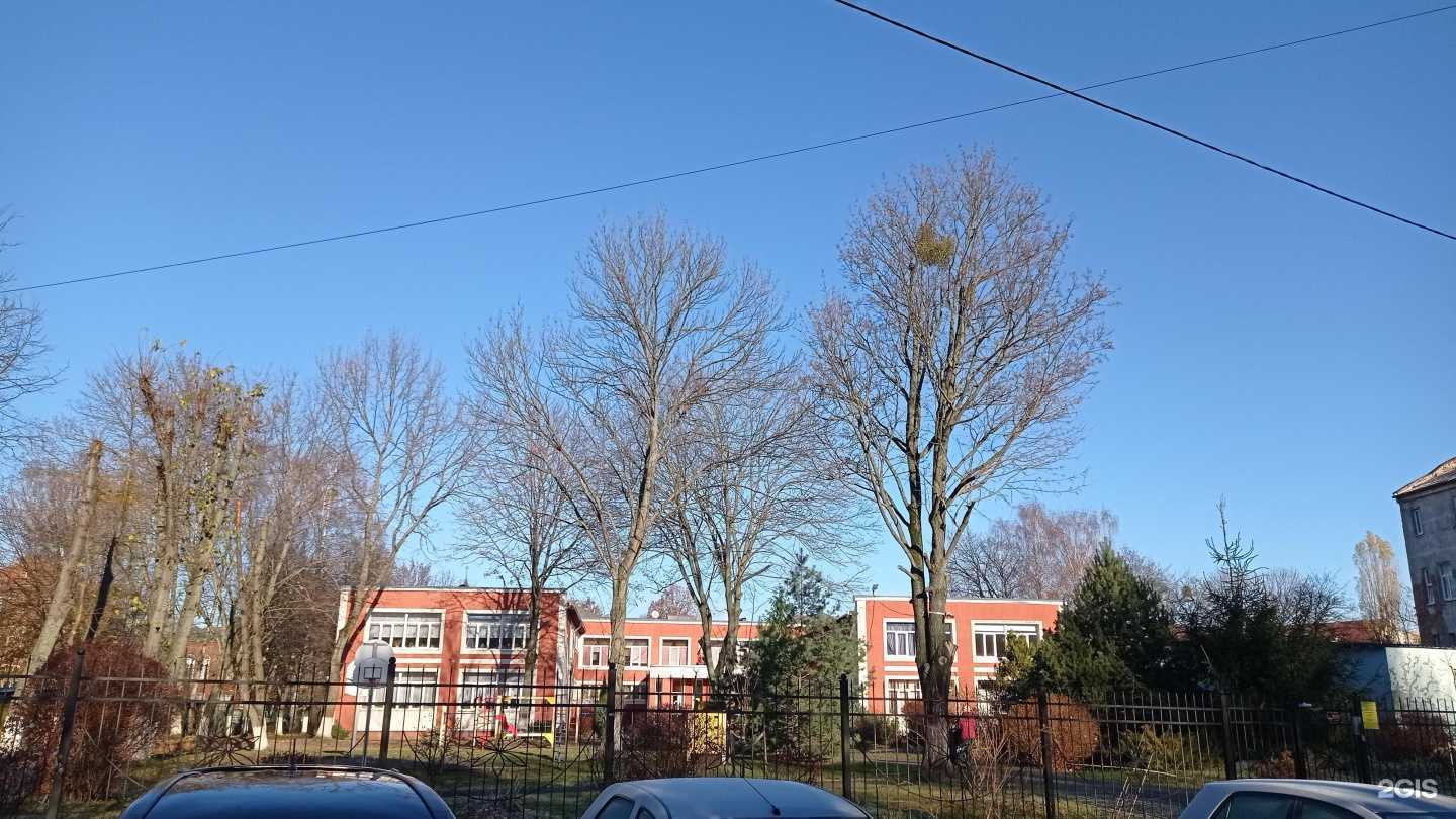 Отзывы на компанию Особый ребенок в г. Калининград c фото