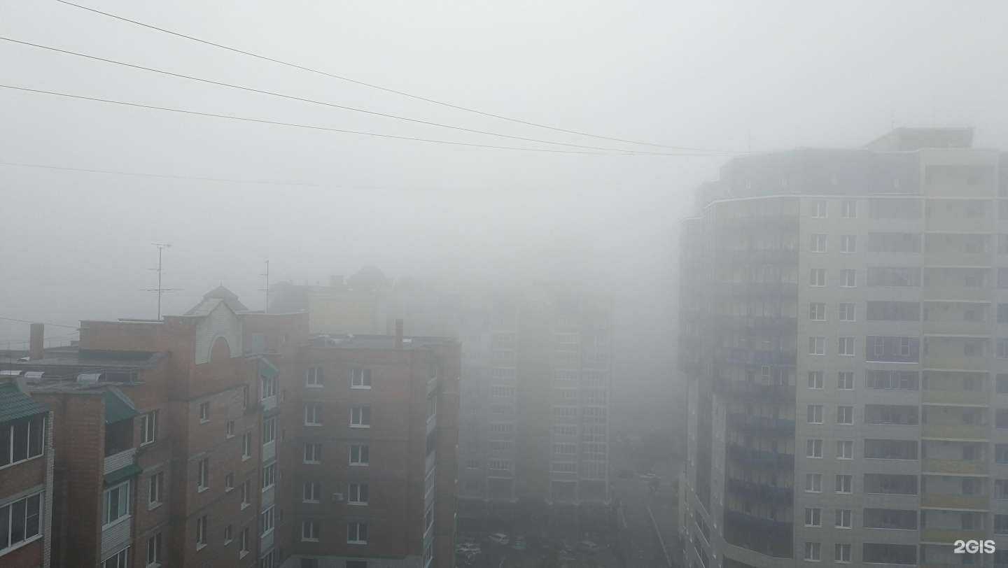 Отзывы на компанию Pro тело в Чите c фото - фотография 2 из 2