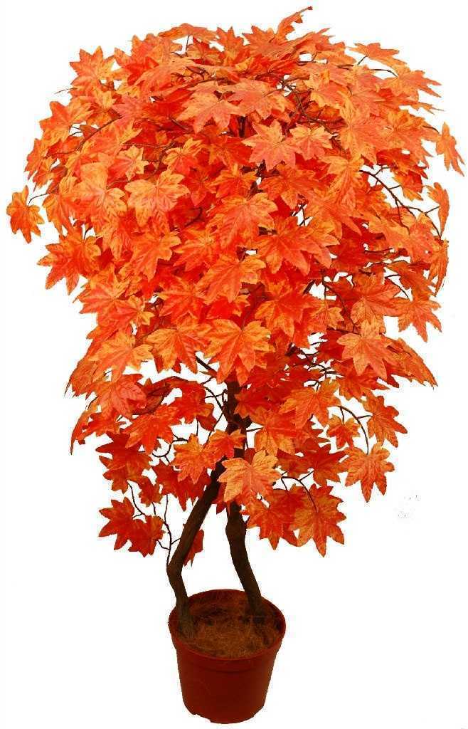 Отзывы на компанию Гринер в Ярославле c фото