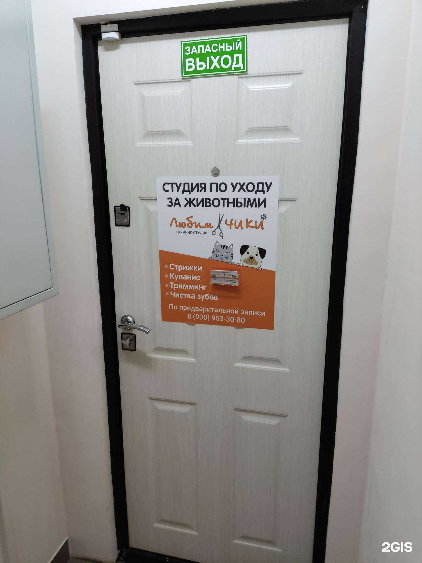 Отзывы на компанию Любимчики в Щёлкове c фото