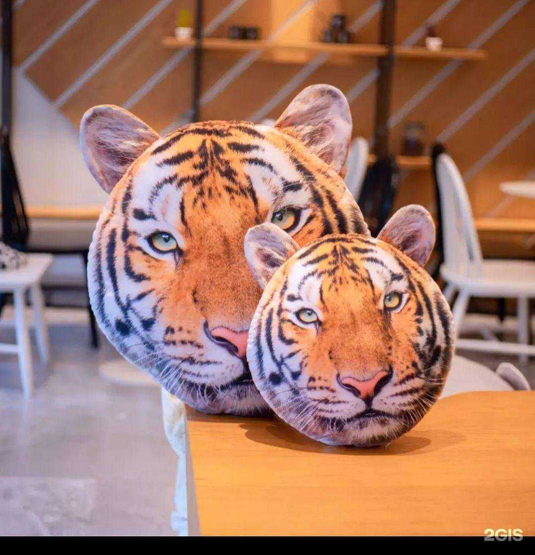 Отзывы на компанию Эврика в Череповце c фото