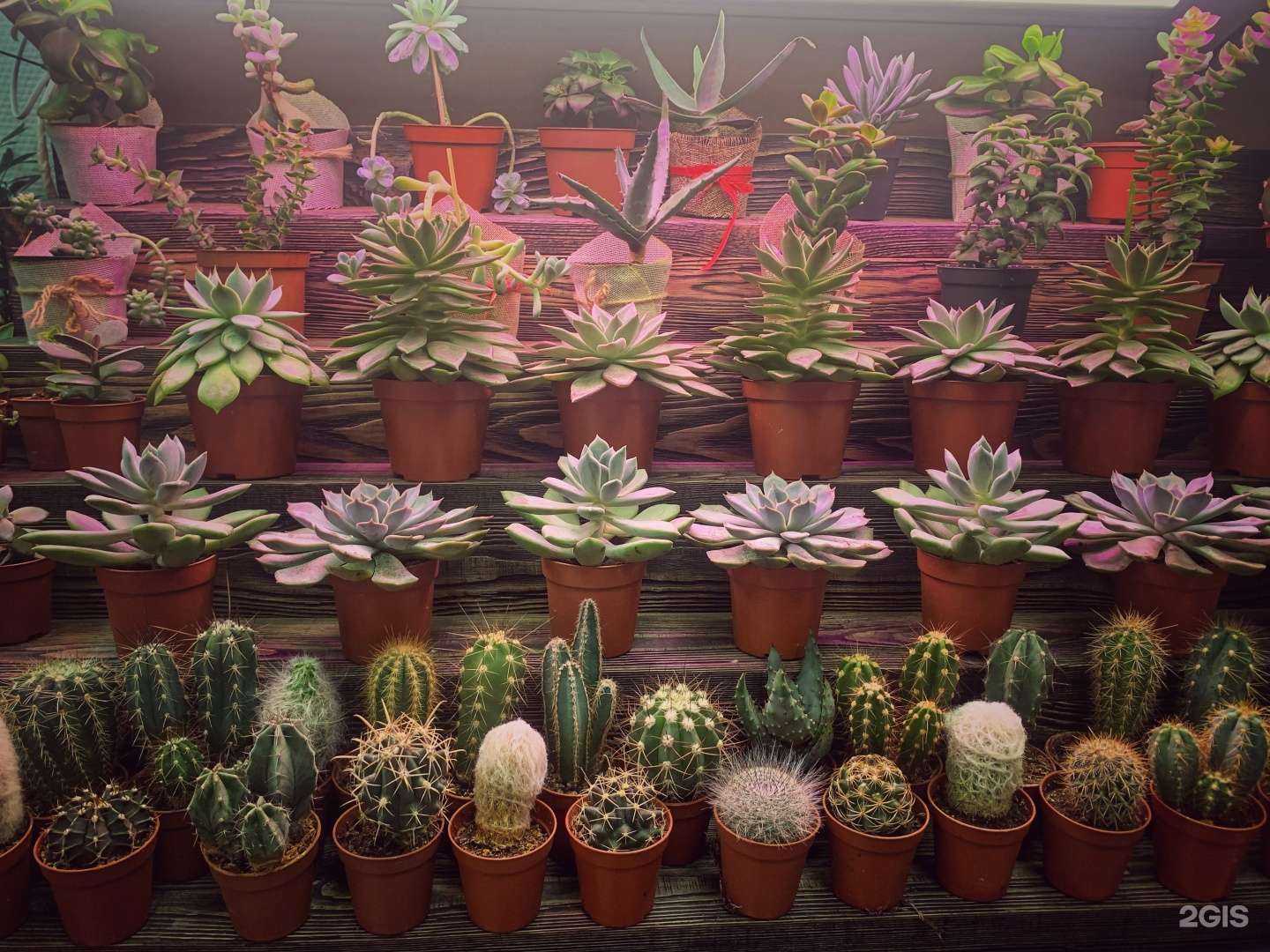 Отзывы на компанию Florенция в г. Дзержинск c фото