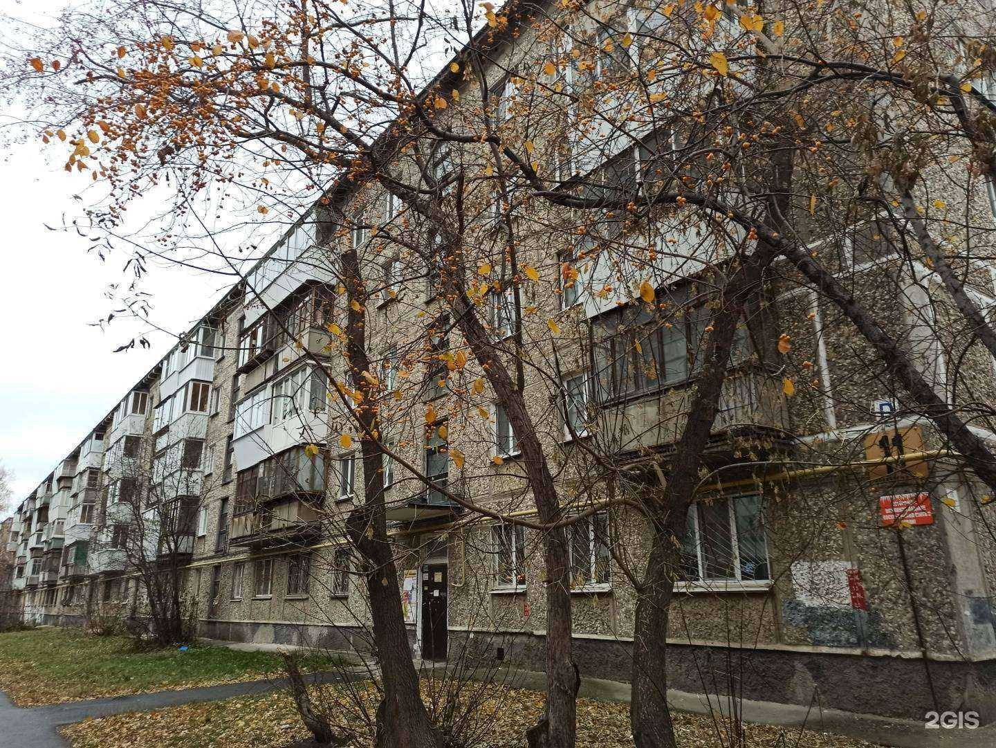 Отзывы на компанию Гномики в Екатеринбурге c фото - фотография 2 из 2