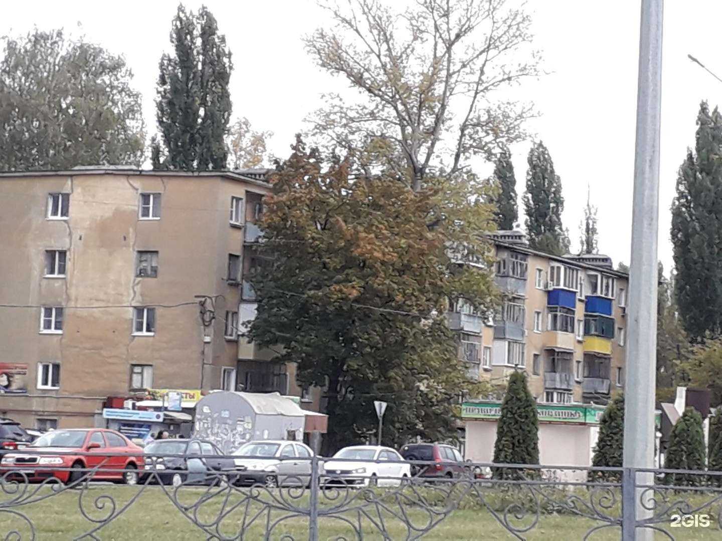 Отзывы на компанию Школа-студия ногтевого сервиса Гали Якуби в г. Липецк c фото