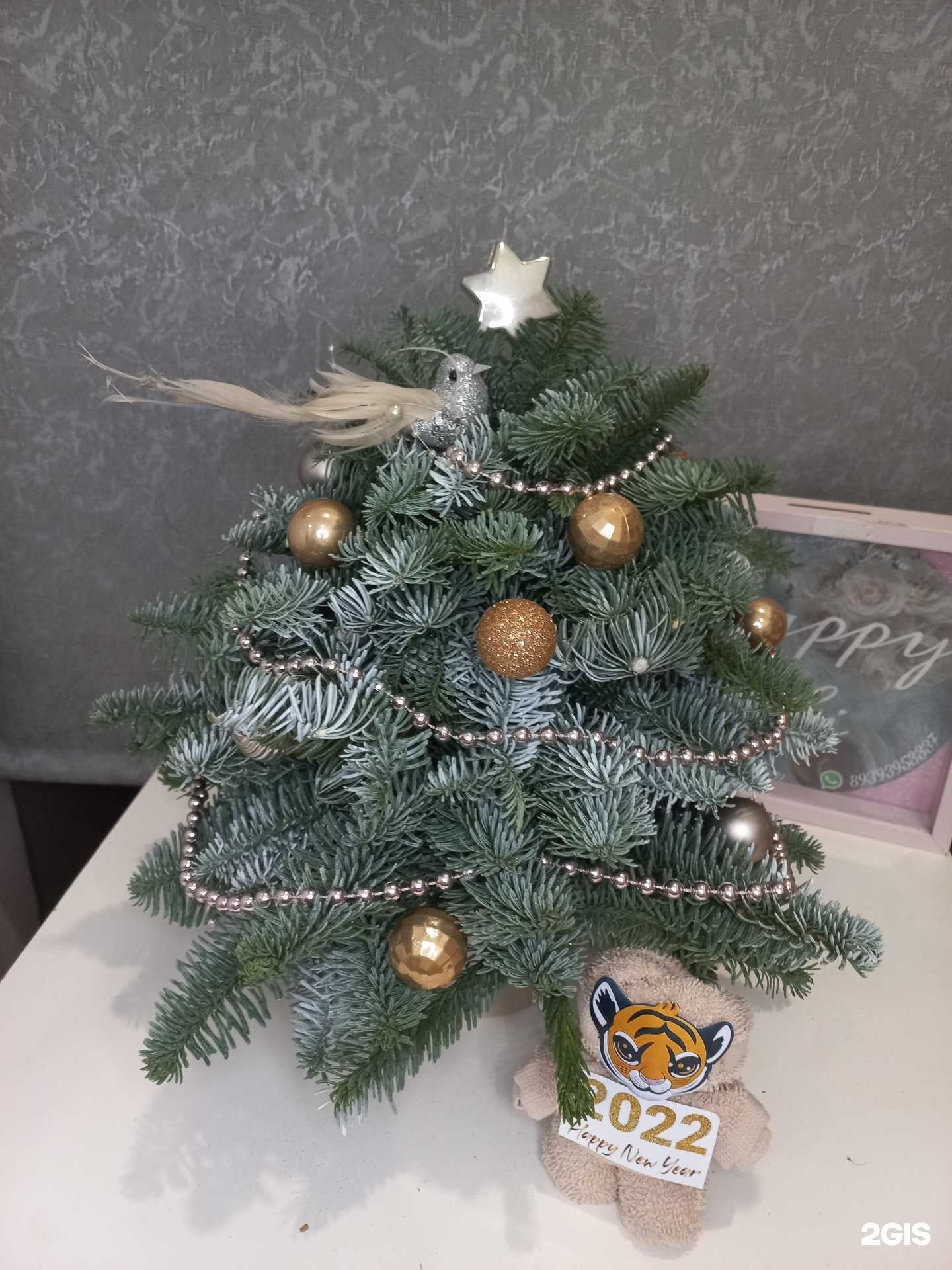 Отзывы на компанию Bloom Dom в Казани c фото