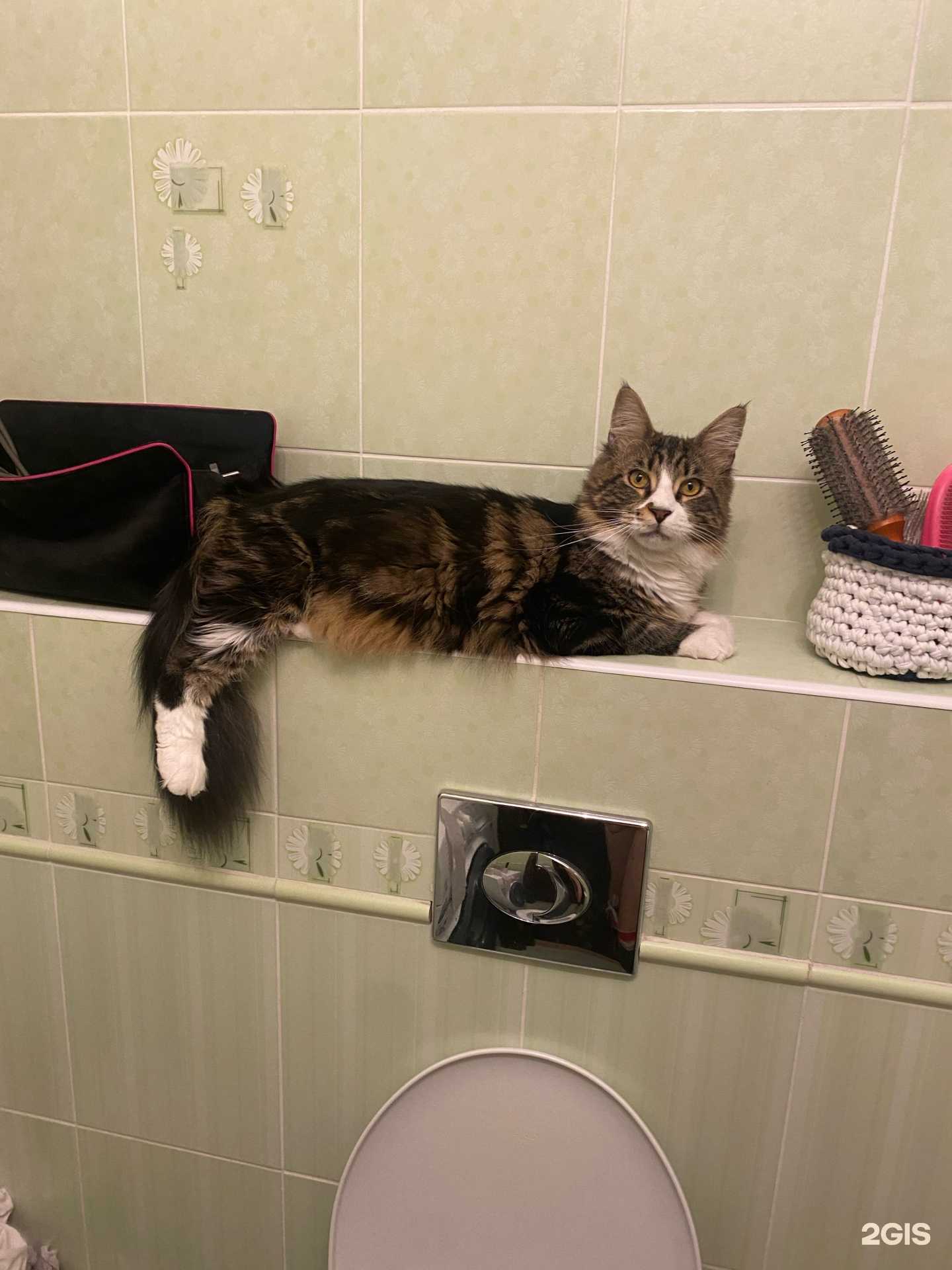 Отзывы на компанию Muska в Челябинске c фото - фотография 2 из 2