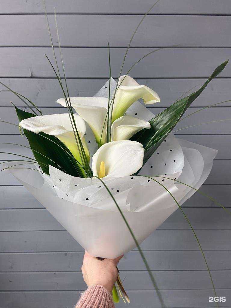 Отзывы на компанию Пан-Тюльпан в Ростове-на-Дону c фото