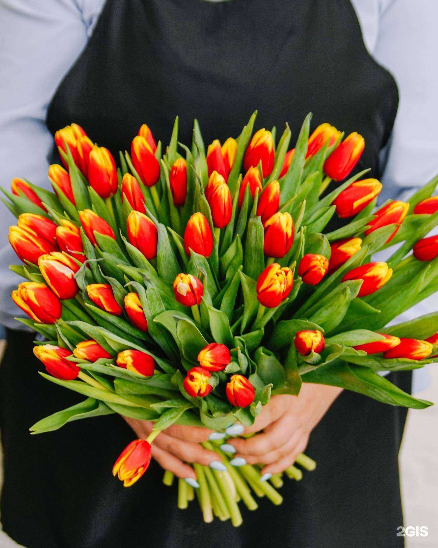 Отзывы на компанию Азалия в г. Комсомольск-на-Амуре c фото