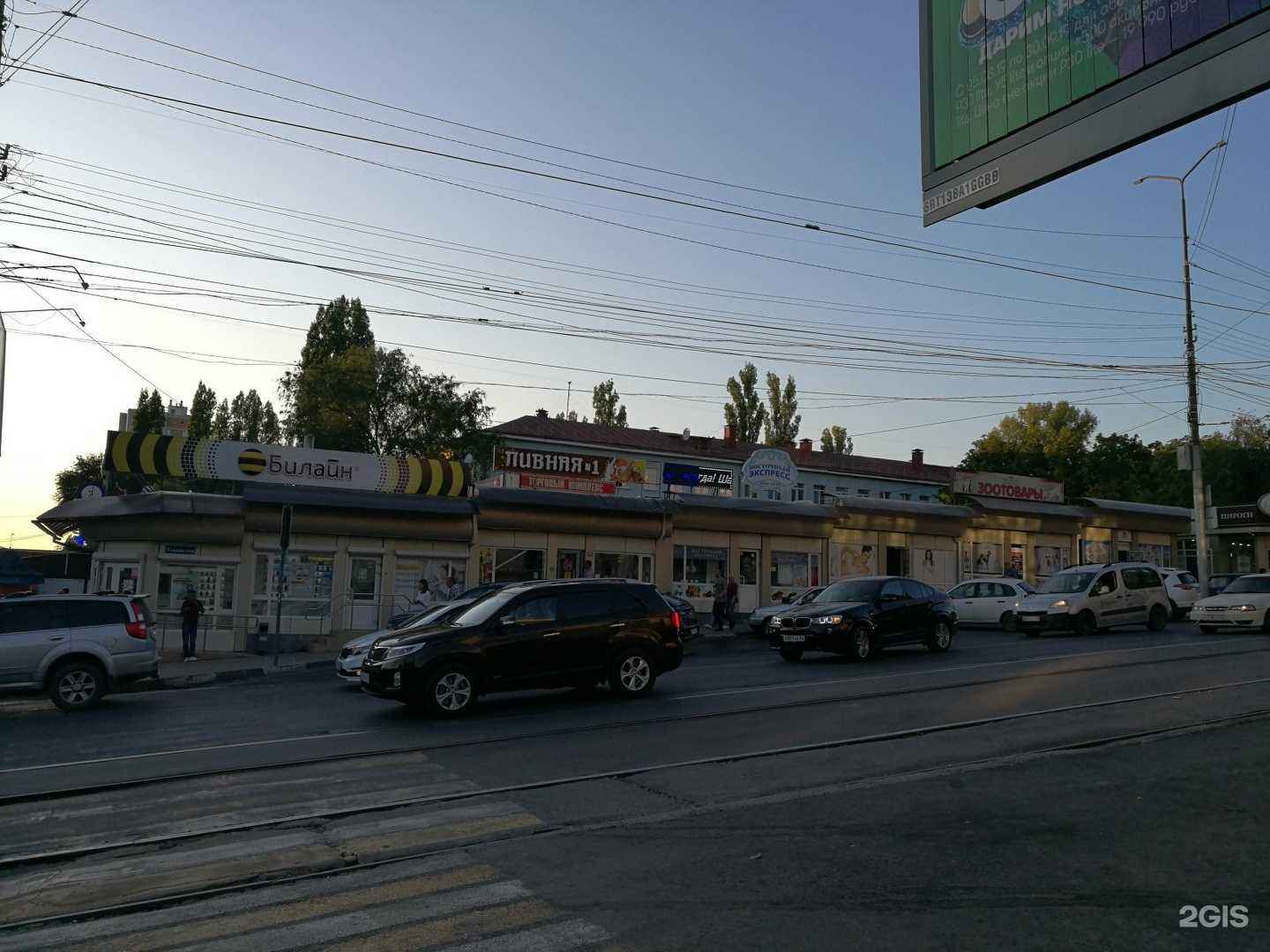 Отзывы на компанию Любимчик в Саратове c фото - фотография 2 из 2