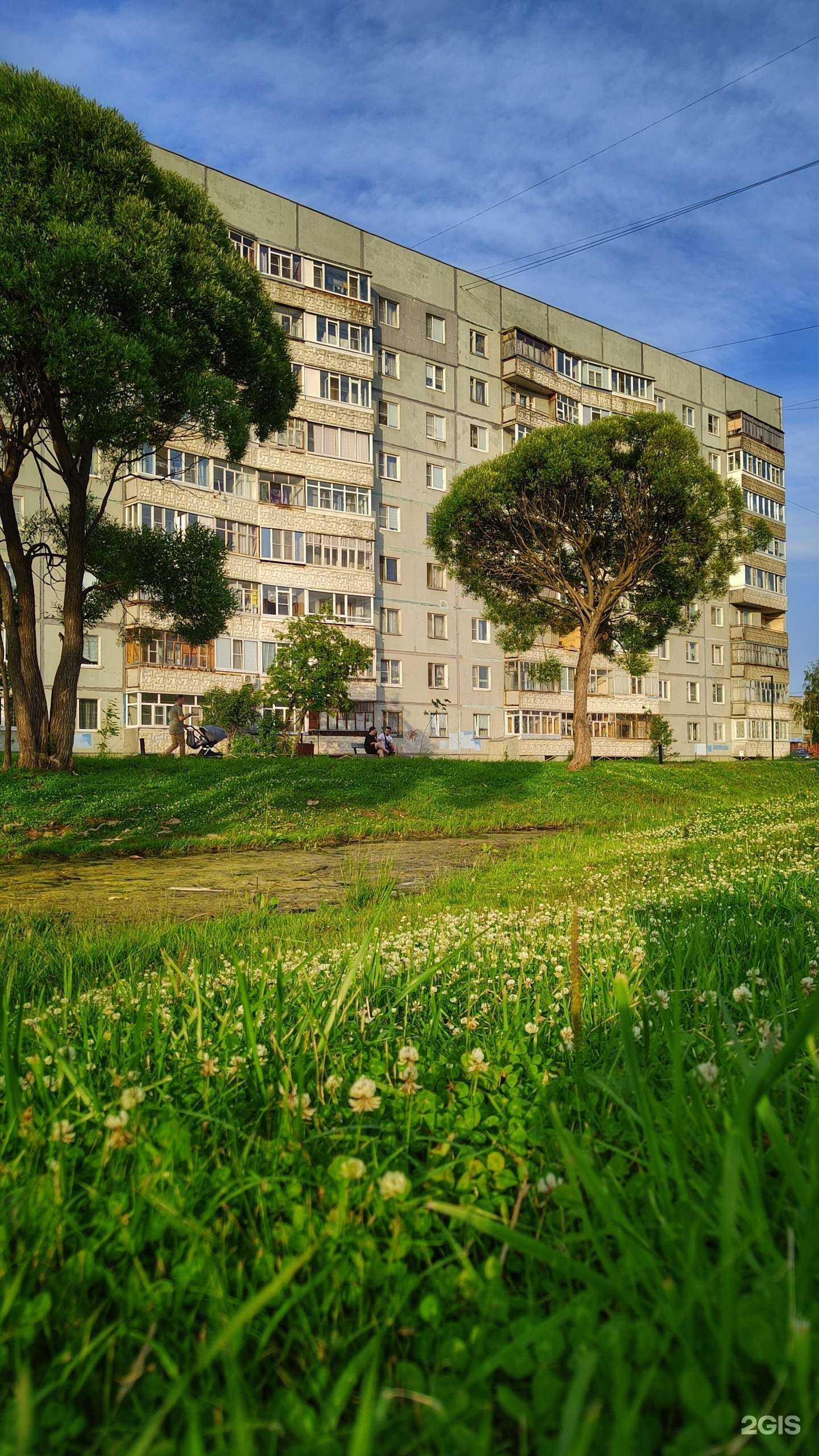 Отзывы на компанию Магазин цветов в Вологде c фото - фотография 2 из 2