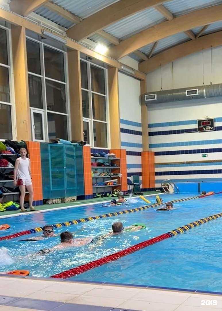 Отзывы на компанию Школа плавания Ларисы Ильченко в г. Волгоград c фото