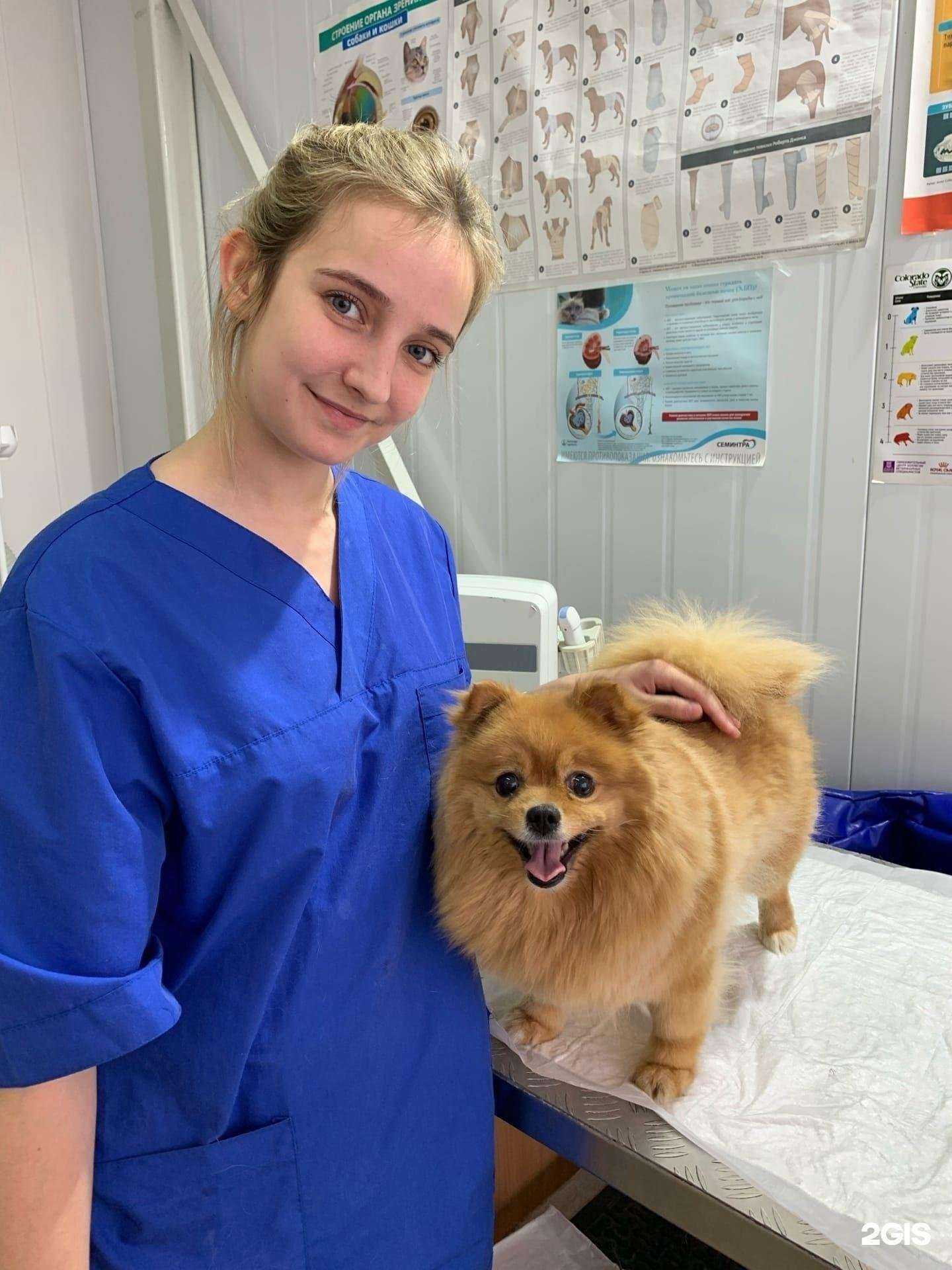 Отзывы на компанию Доктор Пух в г. Голицыно c фото