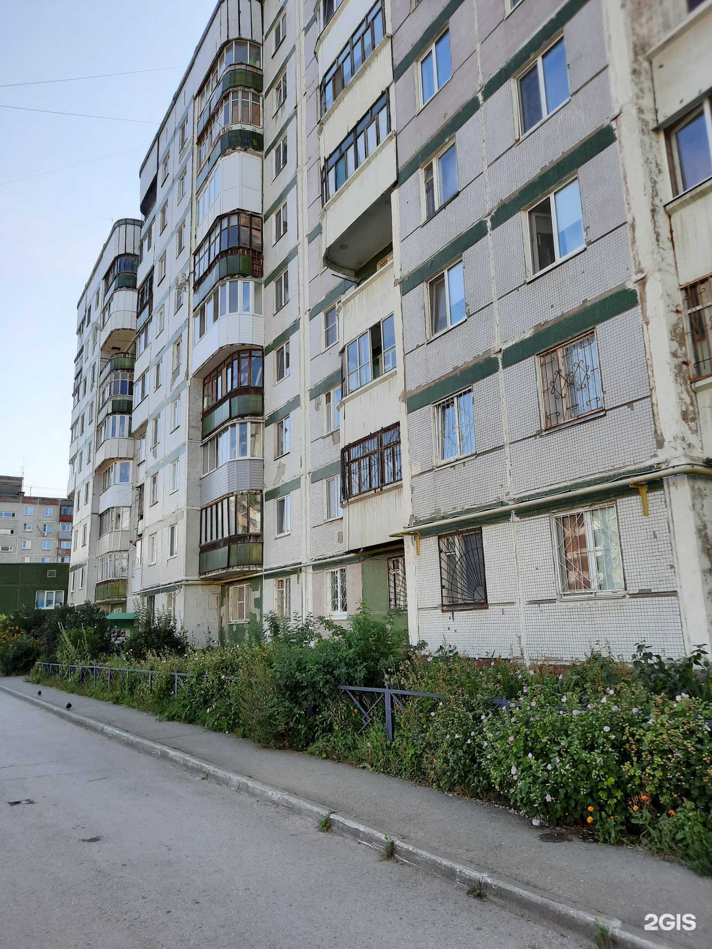 Отзывы на компанию Пермский кодокан в Перми c фото - фотография 2 из 2