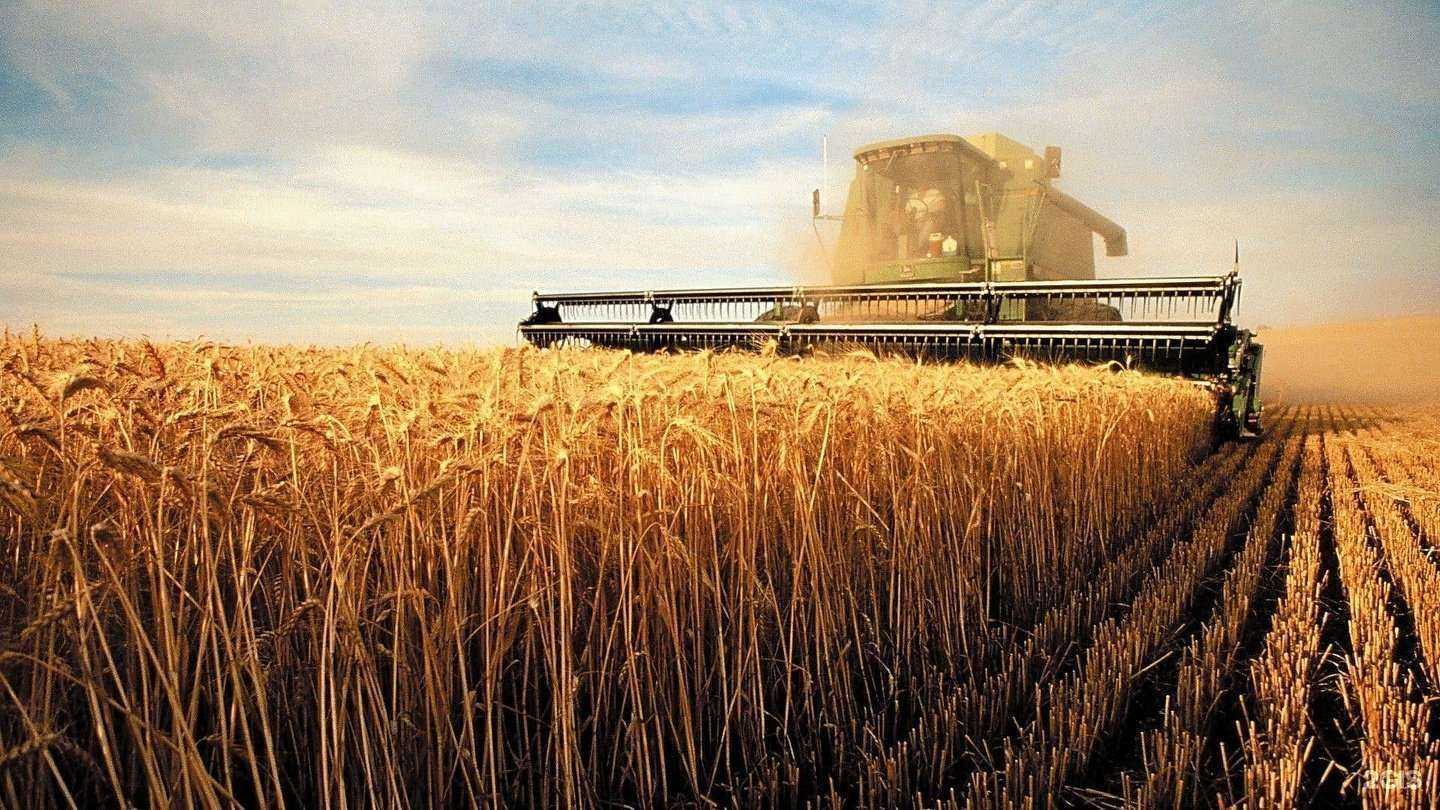 Отзывы на компанию Агрохимия в Туймазах c фото