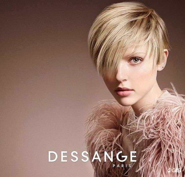 Отзывы на компанию Дессанж в г. Красноярск c фото