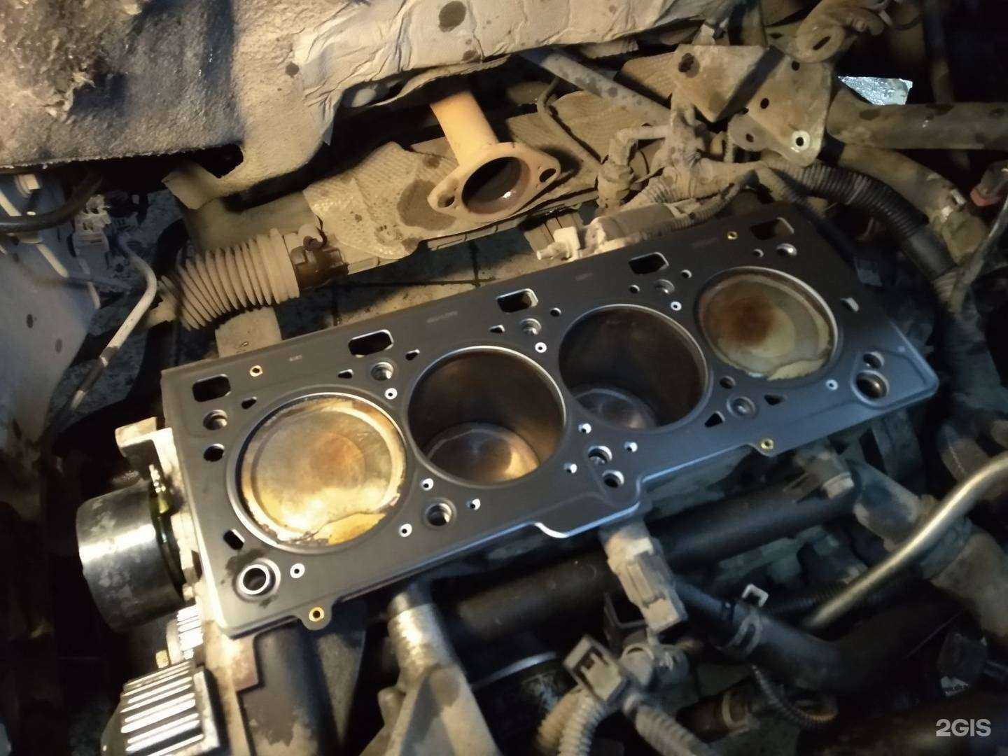 Отзывы на компанию Корона в г. Красноярск c фото