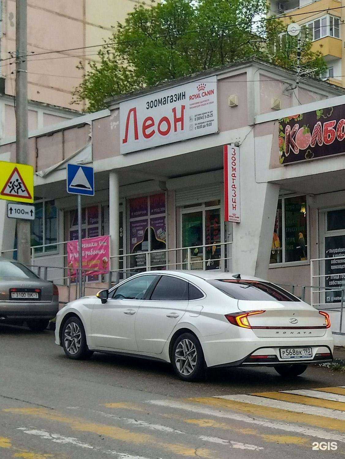 Отзывы на компанию Леон в Геленджике c фото