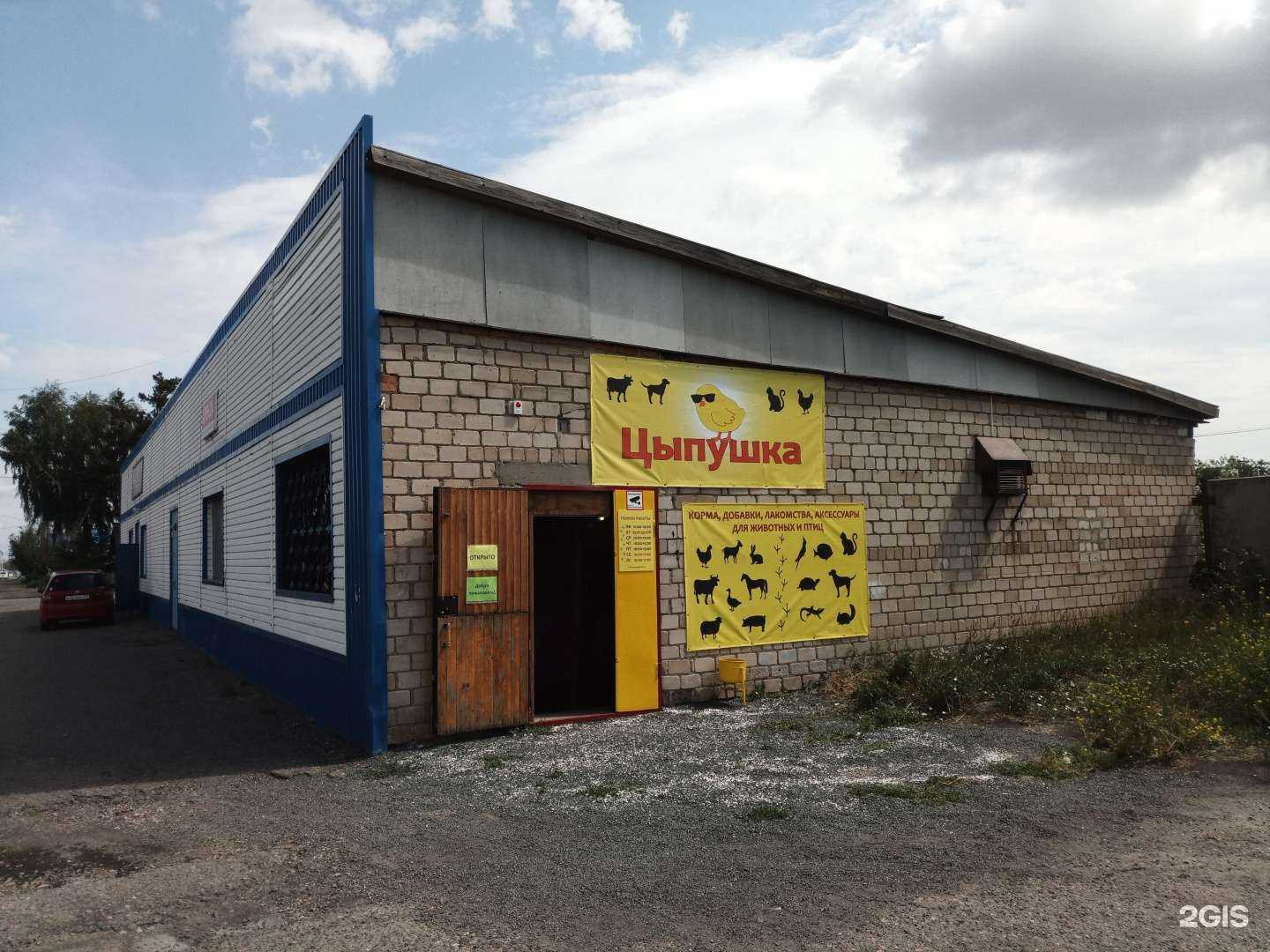 Отзывы на компанию Цыпушка в Камени-на-Оби c фото - фотография 2 из 2