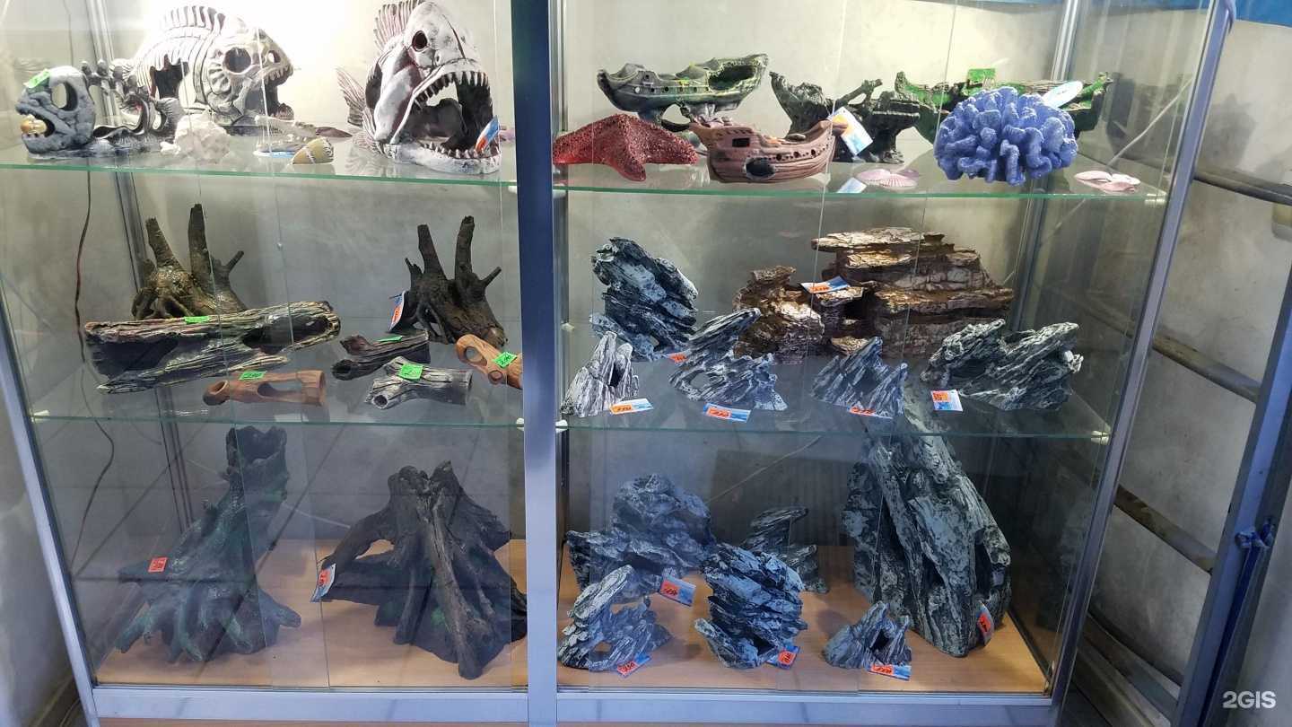 Отзывы на компанию Аква-Дизайн в Астрахани c фото