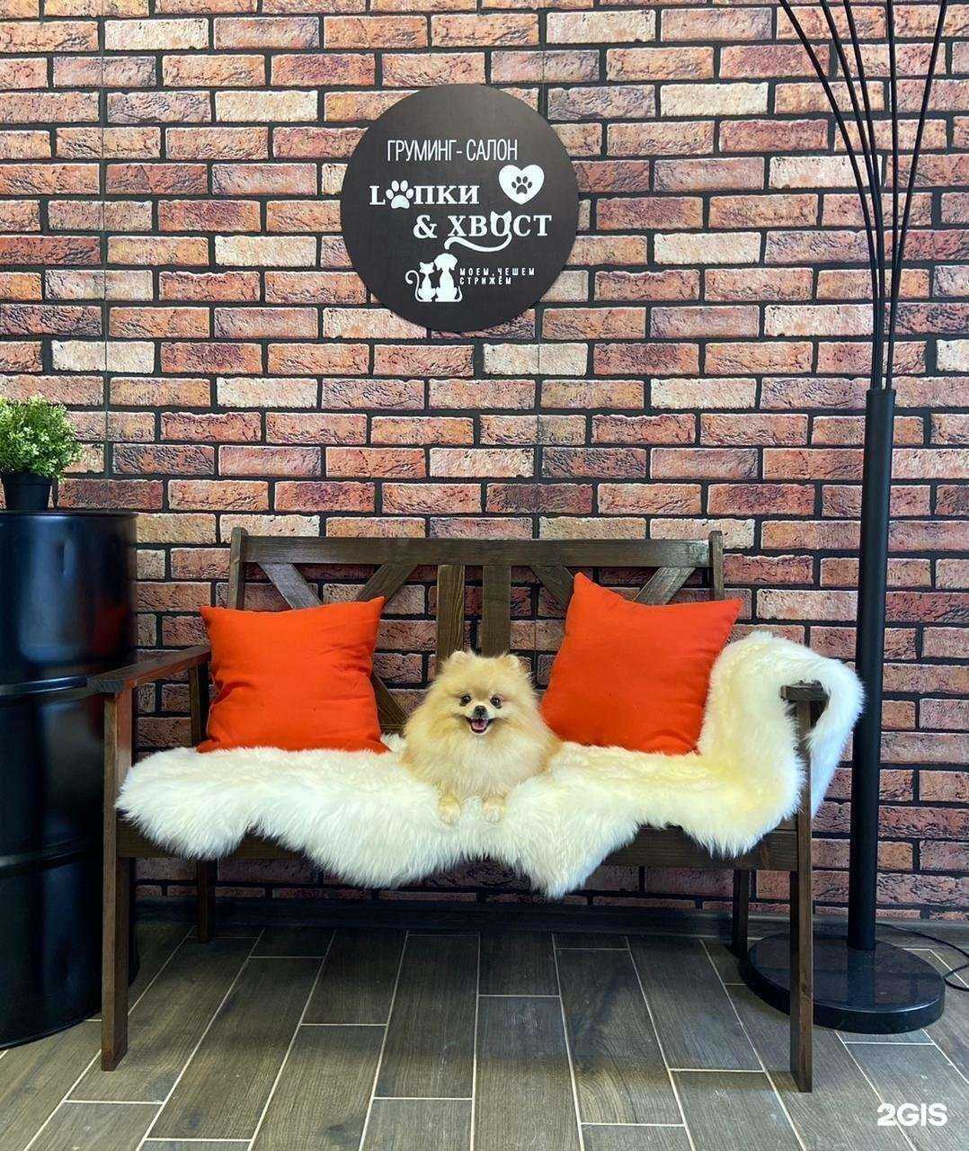 Отзывы на компанию Лапки&Хвост в Красноярске c фото