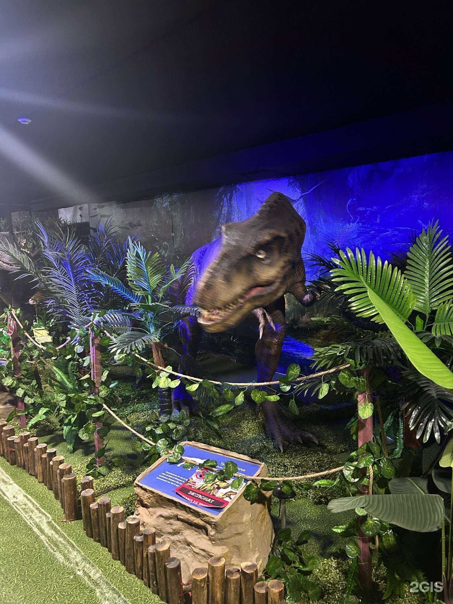 Отзывы на компанию Мир динозавров в г. Краснодар c фото