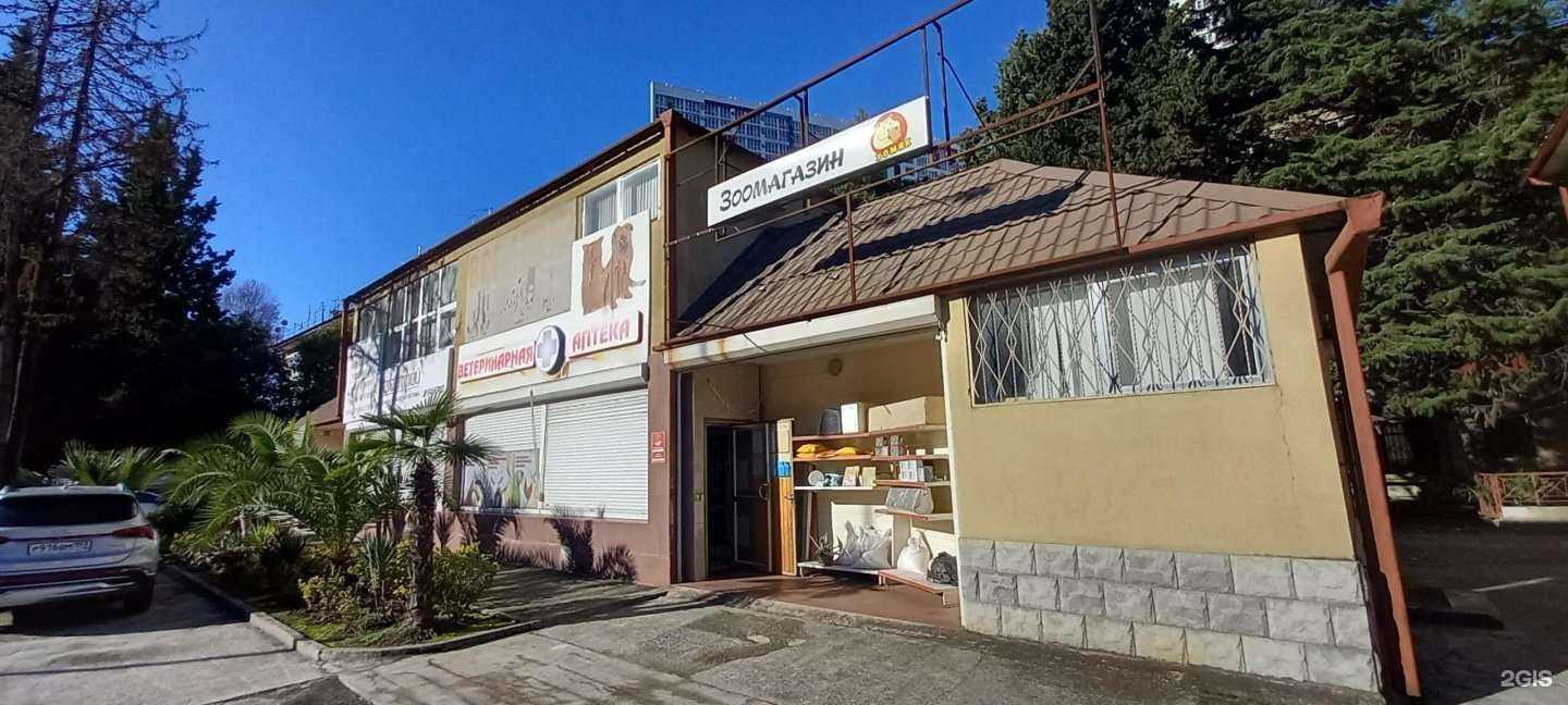 Отзывы на компанию Хомяк в Сочи c фото