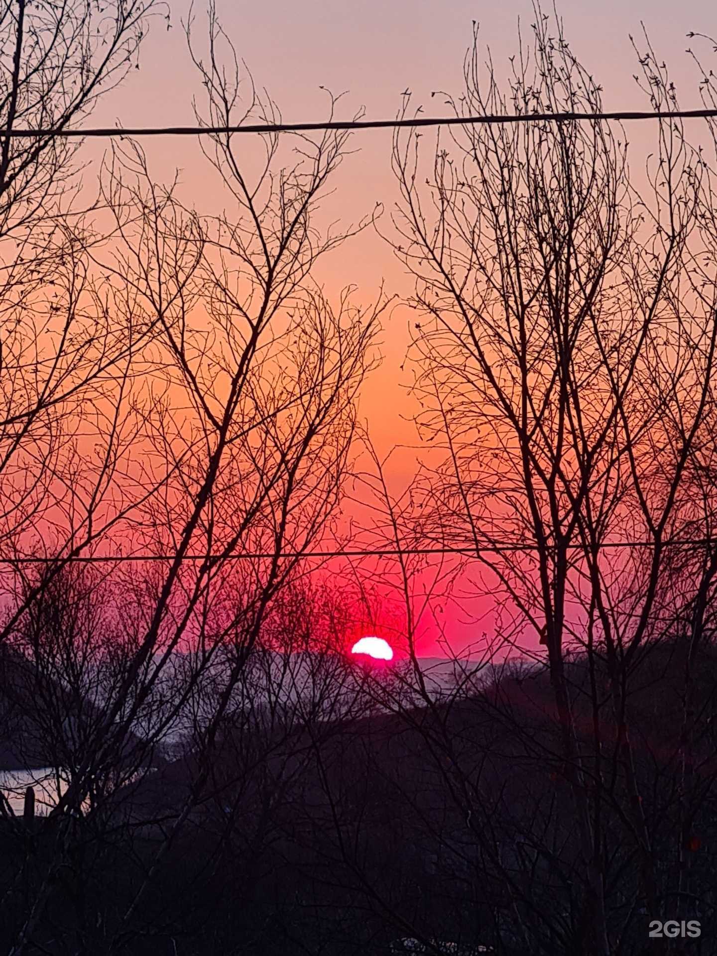 Отзывы на компанию Встреча в Находке c фото - фотография 2 из 2