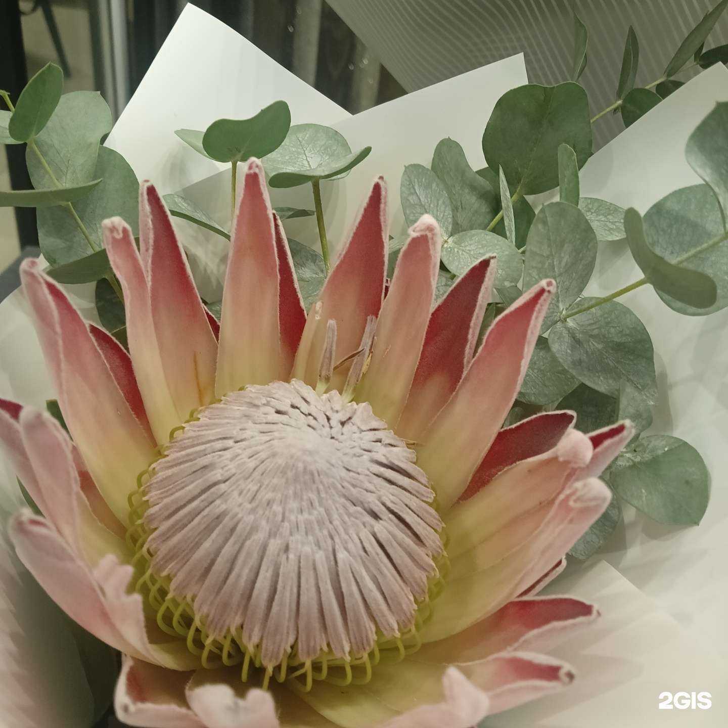 Отзывы на компанию Fifa в Твери c фото