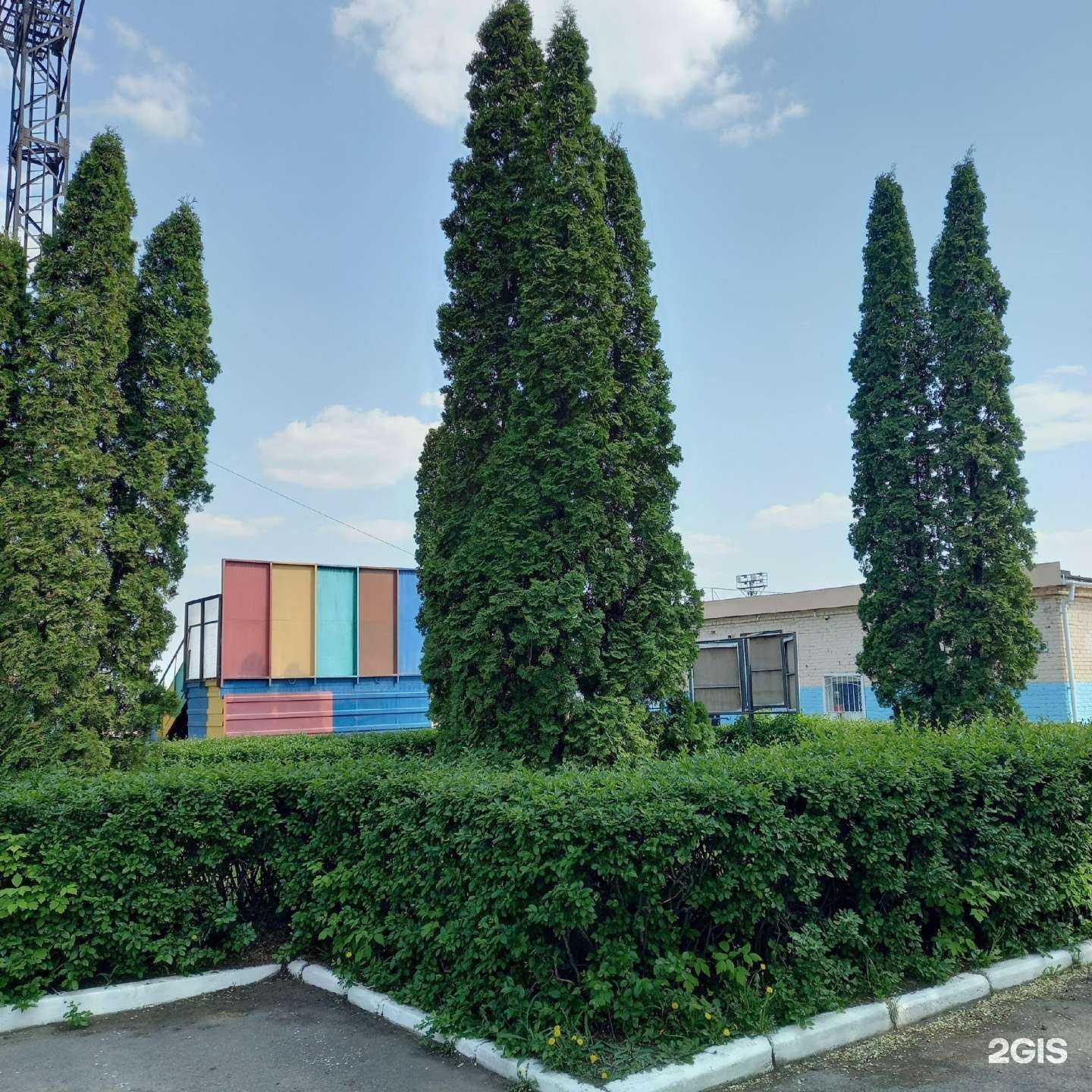 Отзывы на компанию Центральный в Магнитогорске c фото - фотография 2 из 2