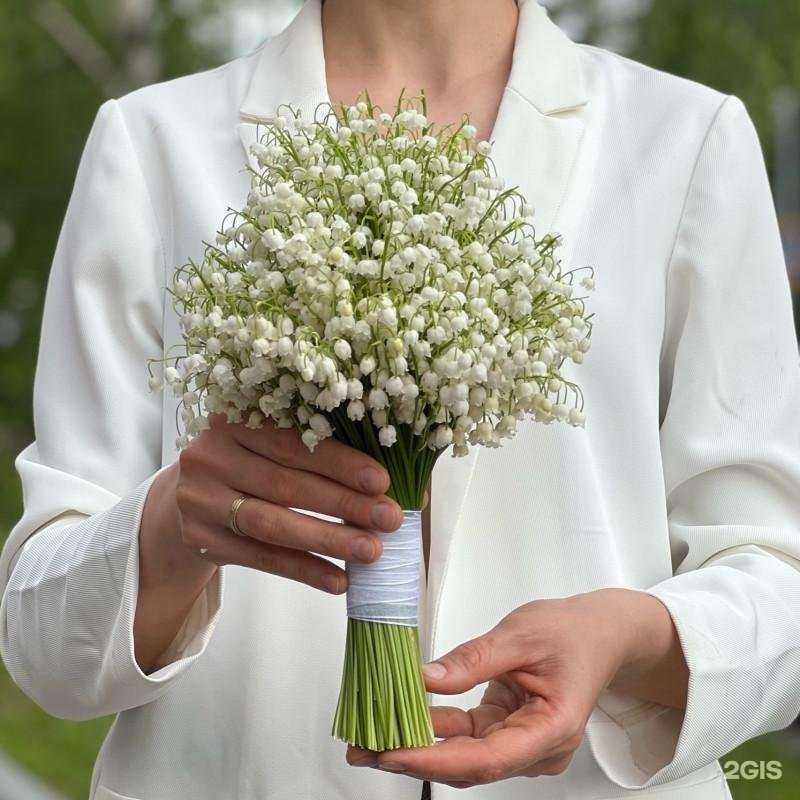 Отзывы на компанию Тимьян в Королёве c фото