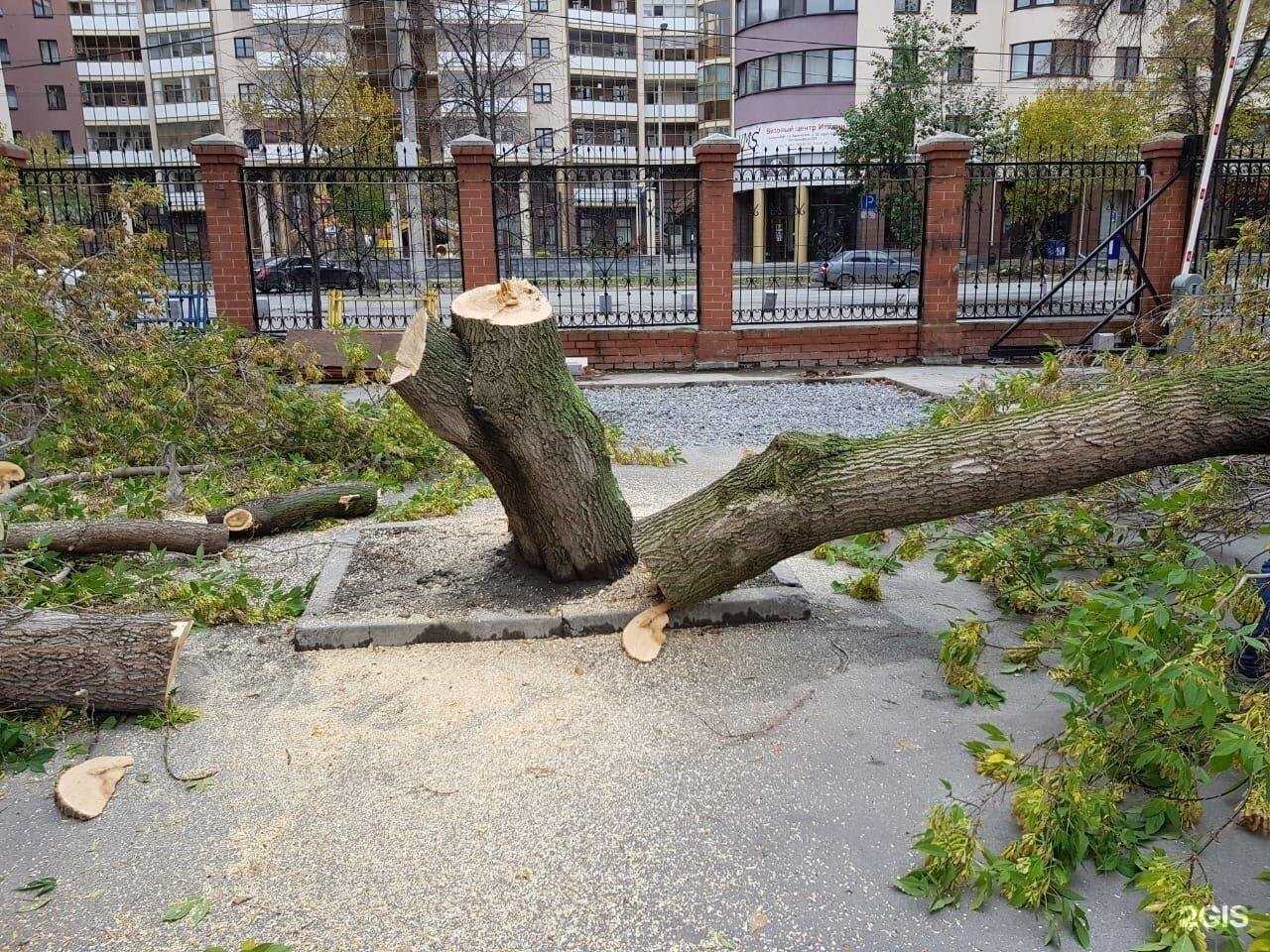 Отзывы на компанию Компания Терфер в Екатеринбурге c фото