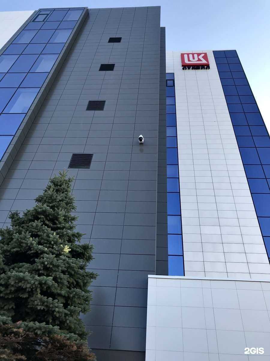 Отзывы на компанию Луком-А-Волгоград в Волгограде c фото