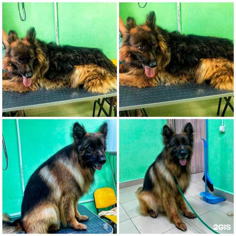 Отзывы на компанию Хвастун в Кургане c фото