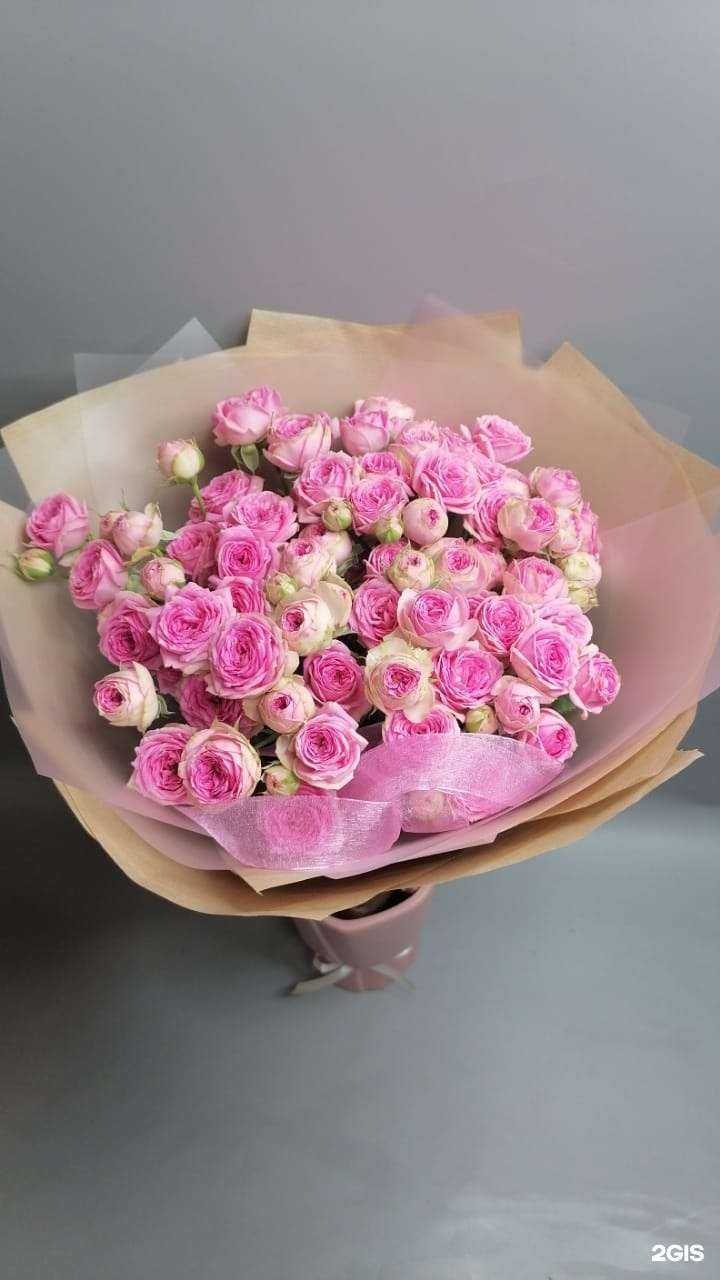 Отзывы на компанию Попугай фло в Малоярославеце c фото