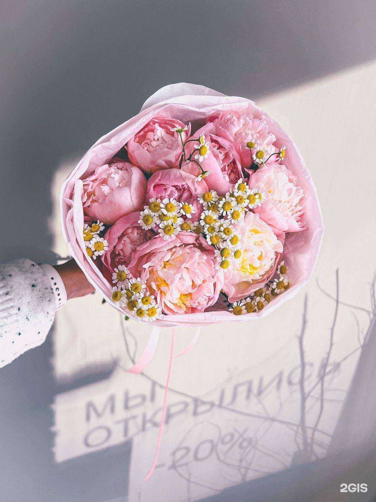 Отзывы на компанию Эстетика в Красноярске c фото