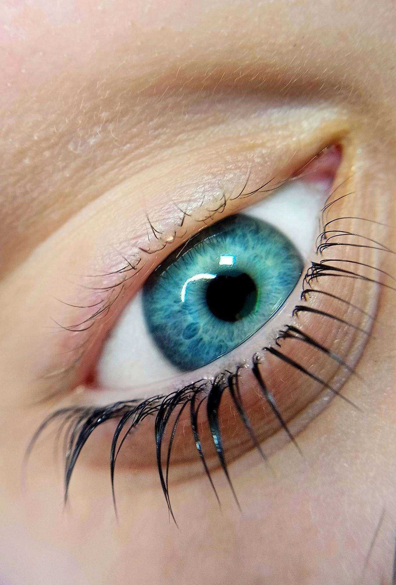 Отзывы на компанию Студия ресниц и депиляции в г. Архангельск c фото