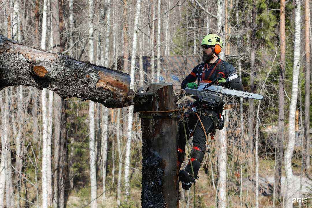 Отзывы на компанию Чистый дом Вилючинск в Вилючинске c фото