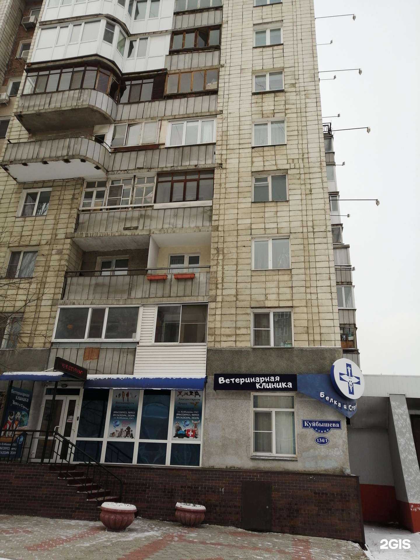 Отзывы на компанию Белка и Стрелка в Омске c фото - фотография 2 из 2