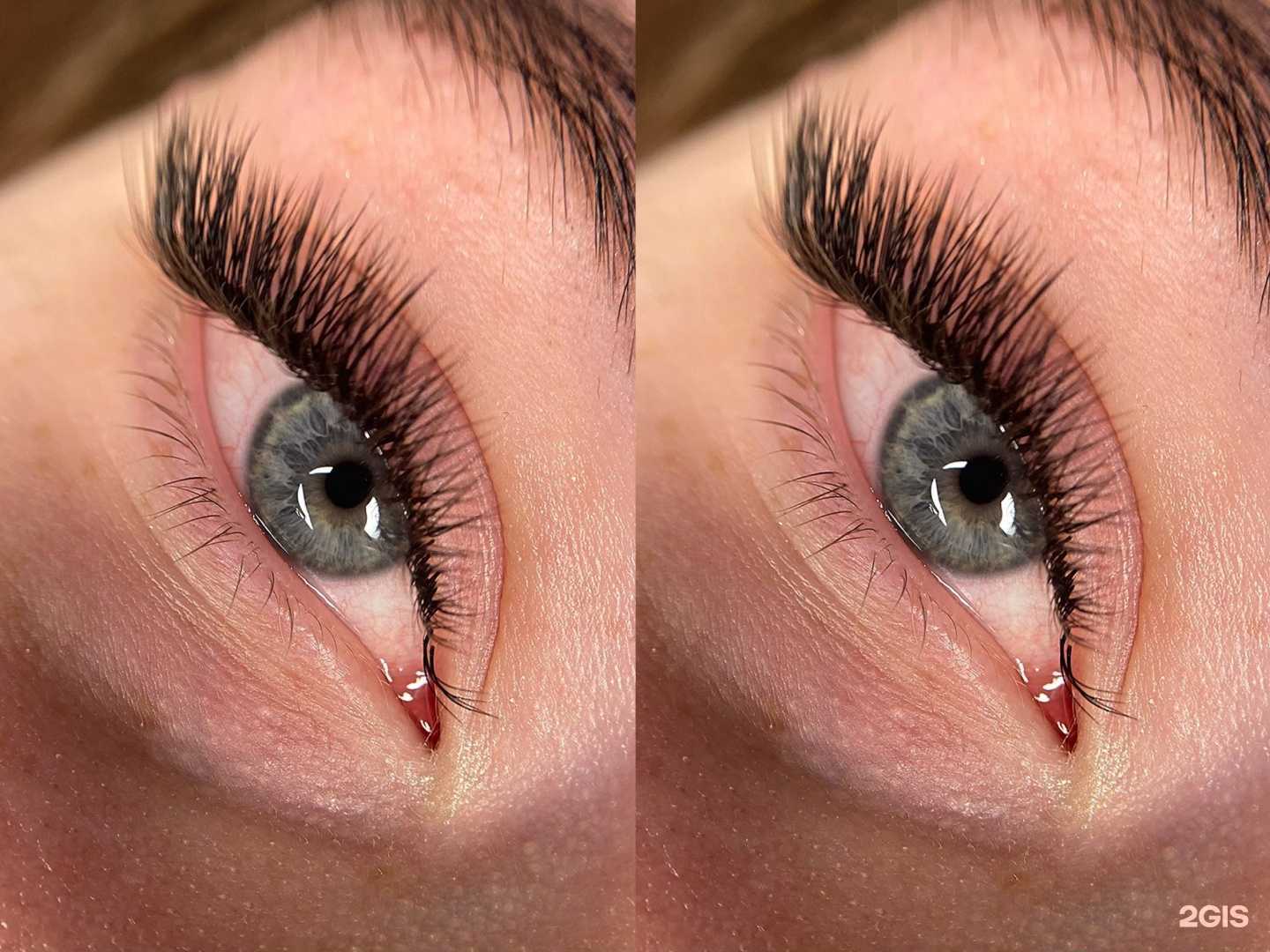 Отзывы на компанию Polly в г. Мурманск c фото