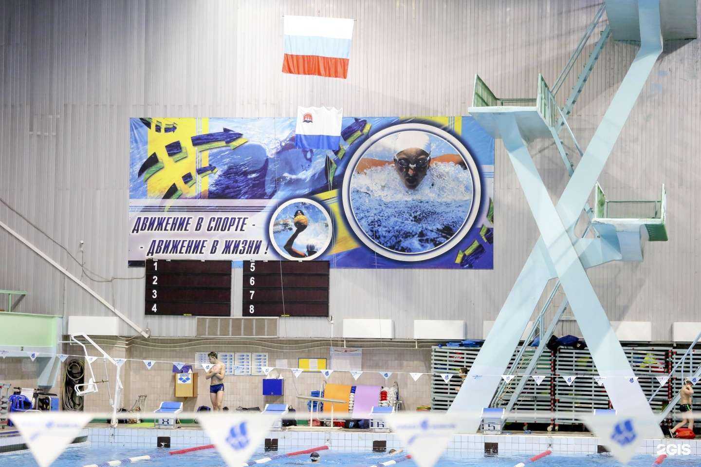 Отзывы на компанию СШОР по плаванию в г. Петропавловск-Камчатский c фото